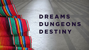 Dreams Dungeons Destinies Memory Stick image