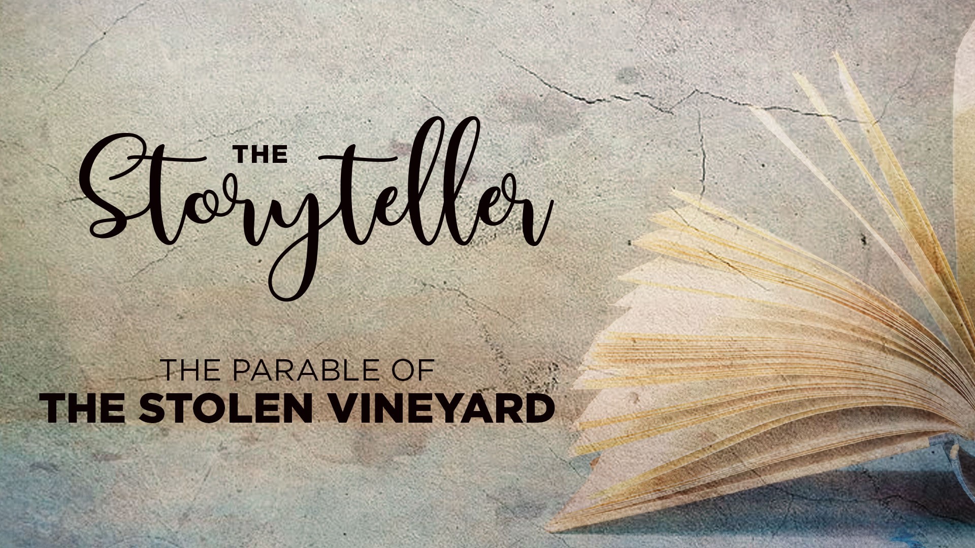 The storyteller - The parable of the stolen vineyard