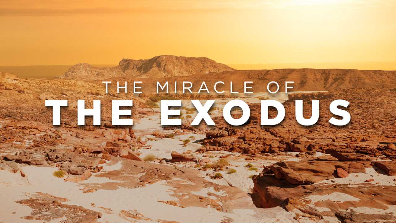 The Miracle Of The Exodus 