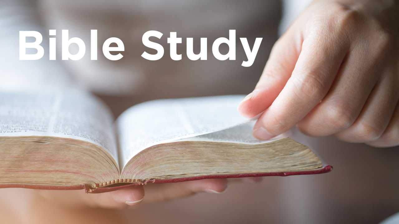 Wednesday Night Bible Study with Pastor Nigel Begley 