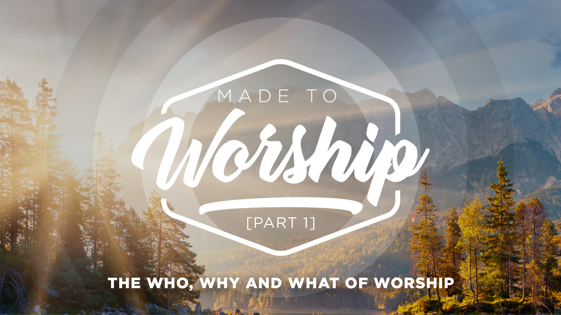 Made To Worship - Part 1 - The Who, Why And What Of Worship