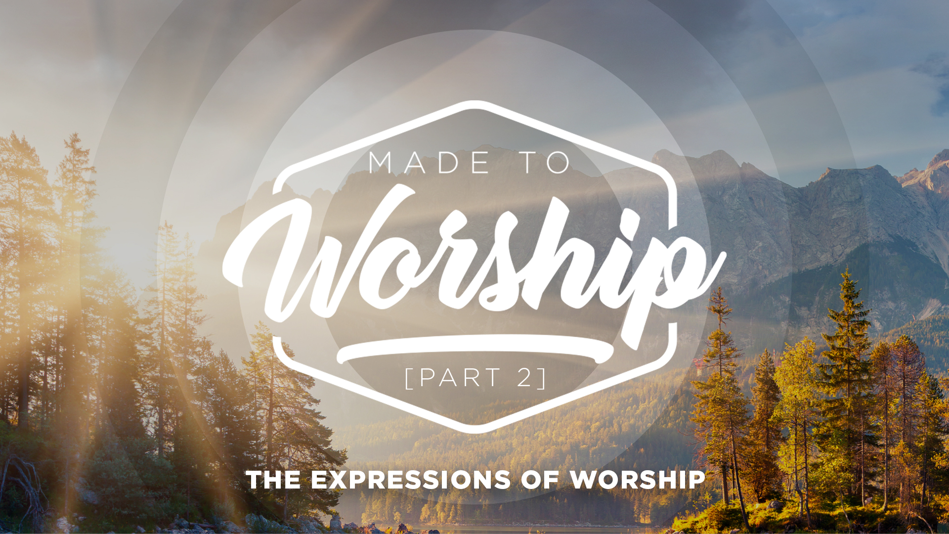 Part 2: The Expressions Of Worship