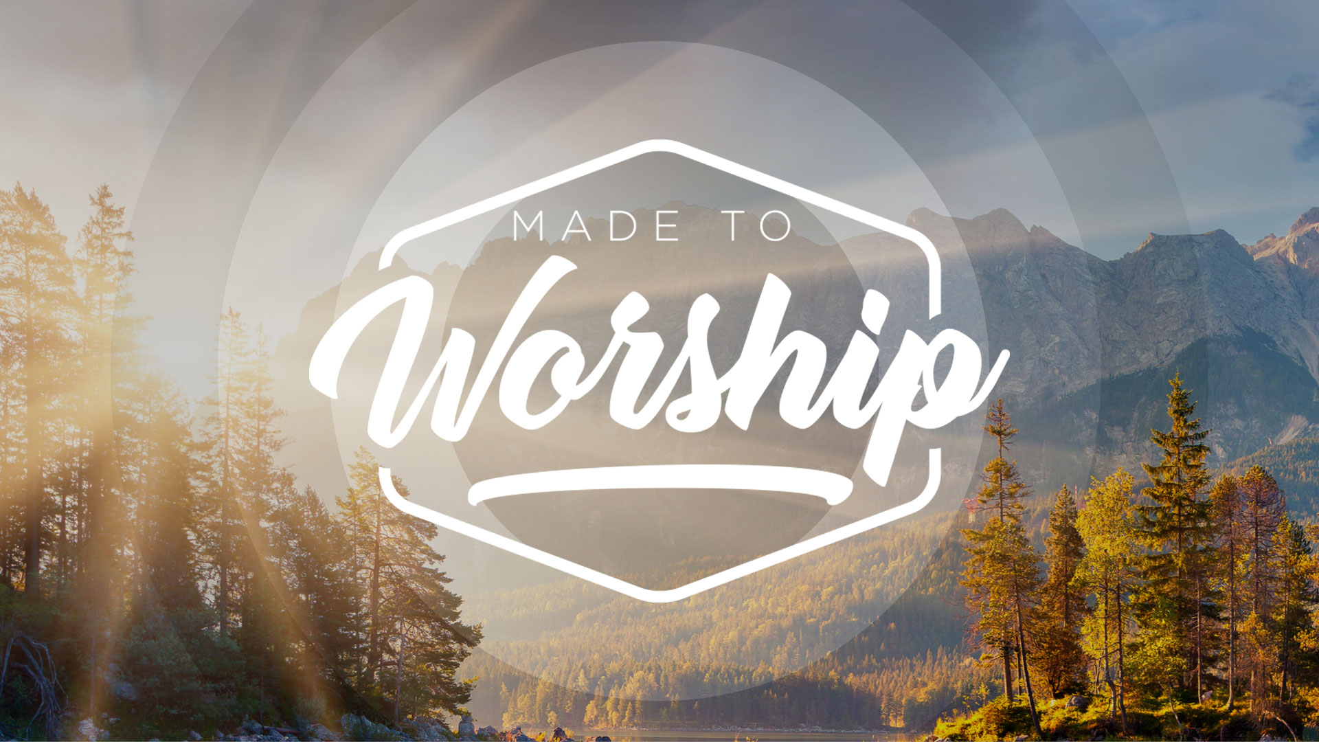 Part 3: Expressions Of Worship-Continued